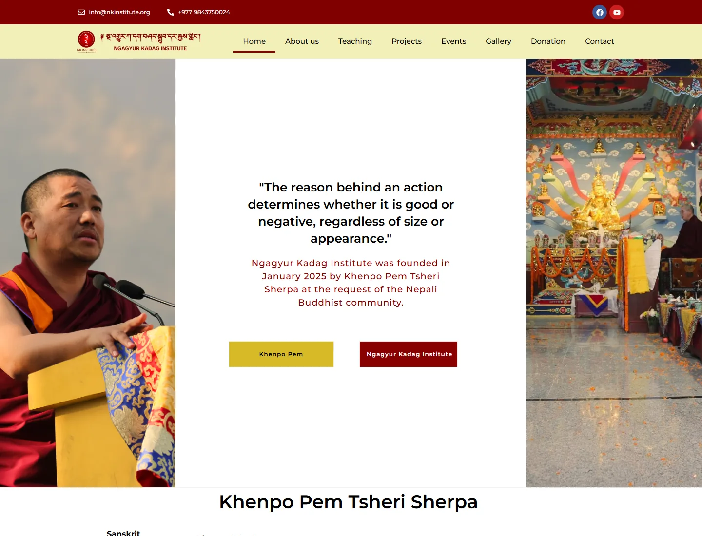 NK Institute website screenshot